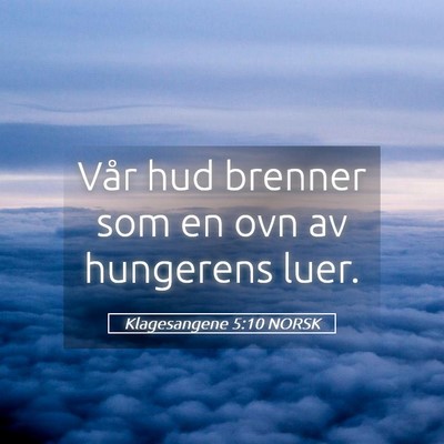 Picture 05 - Klagesangene 5:10 NORSK - Vår hud brenner som en ovn av hungerens - Bible Verse Picture