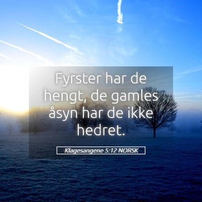 Picture 05 - Klagesangene 5:12 NORSK - Fyrster har de hengt, de gamles åsyn har de ikke - Bible Verse Picture