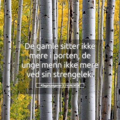 Picture 05 - Klagesangene 5:14 NORSK - De gamle sitter ikke mere i porten, de unge menn - Bible Verse Picture