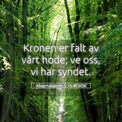 Picture 05 - Klagesangene 5:16 NORSK - Kronen er falt av vårt hode; ve oss, vi har - Bible Verse Picture