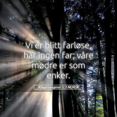 Picture 05 - Klagesangene 5:3 NORSK - Vi er blitt farløse, har ingen far; våre mødre - Bible Verse Picture