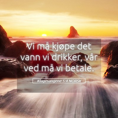 Picture 05 - Klagesangene 5:4 NORSK - Vi må kjøpe det vann vi drikker, vår ved må - Bible Verse Picture