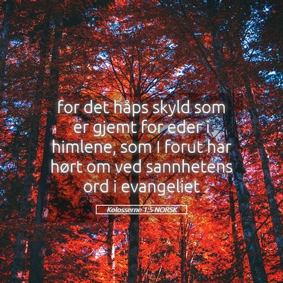 Picture 05 - Kolosserne 1:5 NORSK - for det håps skyld som er gjemt for eder i - Bible Verse Picture