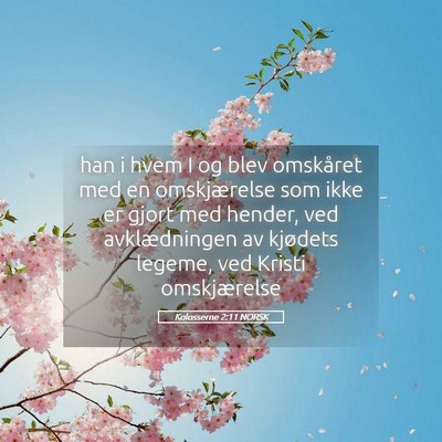 Picture 05 - Kolosserne 2:11 NORSK - han i hvem I og blev omskåret med en - Bible Verse Picture
