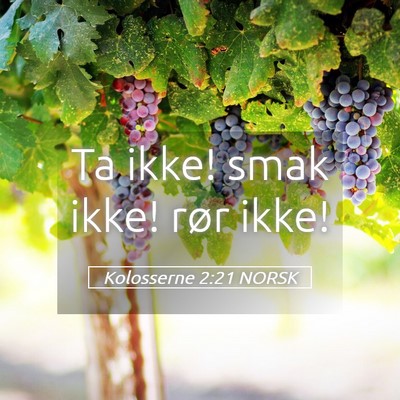 Picture 05 - Kolosserne 2:21 NORSK - Ta ikke! smak ikke! rør - Bible Verse Picture