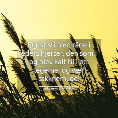 Picture 05 - Kolosserne 3:15 NORSK - Og Kristi fred råde i eders hjerter, den som I - Bible Verse Picture