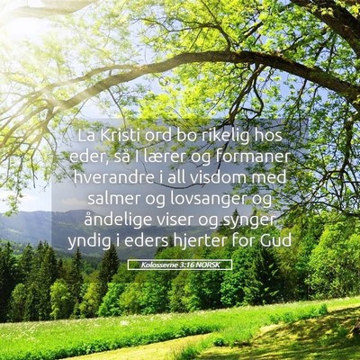 Picture 05 - Kolosserne 3:16 NORSK - La Kristi ord bo rikelig hos eder, så I lærer - Bible Verse Picture