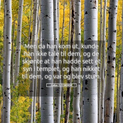Picture 05 - Lukas 1:22 NORSK - Men da han kom ut, kunde han ikke tale til dem, - Bible Verse Picture