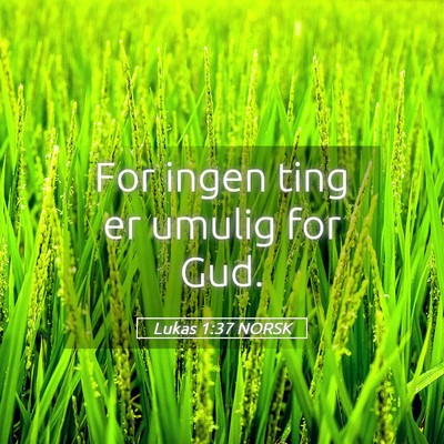 Picture 05 - Lukas 1:37 NORSK - For ingen ting er umulig for - Bible Verse Picture