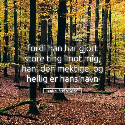 Picture 05 - Lukas 1:49 NORSK - fordi han har gjort store ting imot mig, han, den - Bible Verse Picture