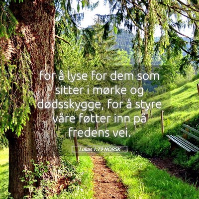 Picture 05 - Lukas 1:79 NORSK - for å lyse for dem som sitter i mørke og - Bible Verse Picture