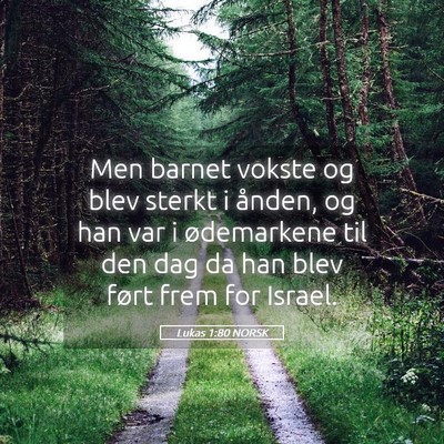 Picture 05 - Lukas 1:80 NORSK - Men barnet vokste og blev sterkt i ånden, og han - Bible Verse Picture