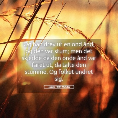 Picture 05 - Lukas 11:14 NORSK - Og han drev ut en ond ånd, og den var stum; men - Bible Verse Picture