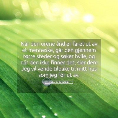Picture 05 - Lukas 11:24 NORSK - Når den urene ånd er faret ut av et menneske, - Bible Verse Picture
