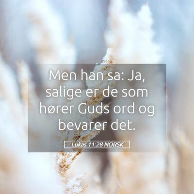 Picture 05 - Lukas 11:28 NORSK - Men han sa: Ja, salige er de som hører Guds ord - Bible Verse Picture