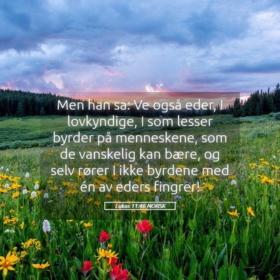 Picture 05 - Lukas 11:46 NORSK - Men han sa: Ve også eder, I lovkyndige, I som - Bible Verse Picture