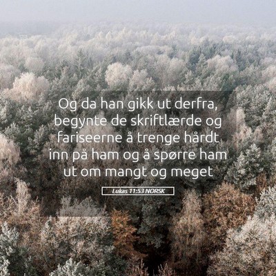 Picture 05 - Lukas 11:53 NORSK - Og da han gikk ut derfra, begynte de skriftlærde - Bible Verse Picture