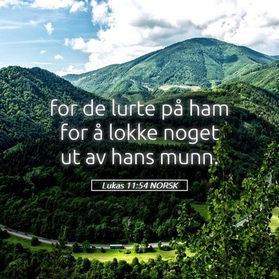 Picture 05 - Lukas 11:54 NORSK - for de lurte på ham for å lokke noget ut av - Bible Verse Picture