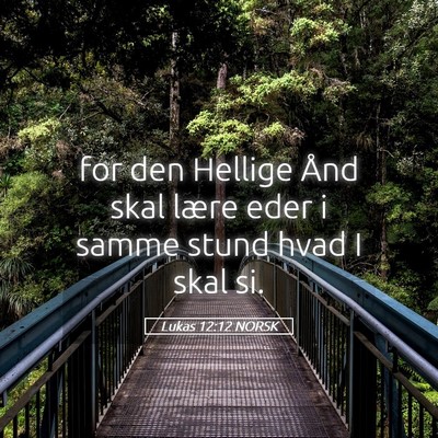 Picture 05 - Lukas 12:12 NORSK - for den Hellige Ånd skal lære eder i samme - Bible Verse Picture