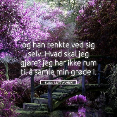 Picture 05 - Lukas 12:17 NORSK - og han tenkte ved sig selv: Hvad skal jeg gjøre? - Bible Verse Picture