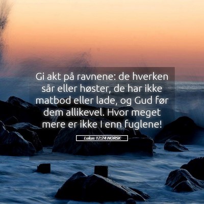 Picture 05 - Lukas 12:24 NORSK - Gi akt på ravnene: de hverken sår eller - Bible Verse Picture