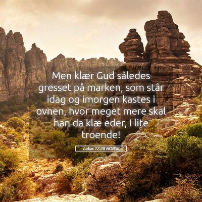 Picture 05 - Lukas 12:28 NORSK - Men klær Gud således gresset på marken, som - Bible Verse Picture