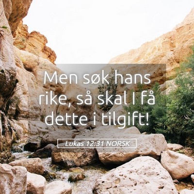Picture 05 - Lukas 12:31 NORSK - Men søk hans rike, så skal I få dette i - Bible Verse Picture