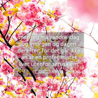 Picture 05 - Lukas 13:33 NORSK - men jeg må vandre idag og imorgen og dagen - Bible Verse Picture