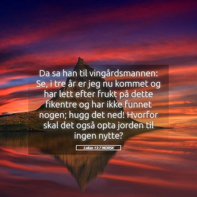 Picture 05 - Lukas 13:7 NORSK - Da sa han til vingårdsmannen: Se, i tre år er - Bible Verse Picture