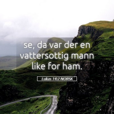Picture 05 - Lukas 14:2 NORSK - se, da var der en vattersottig mann like for - Bible Verse Picture