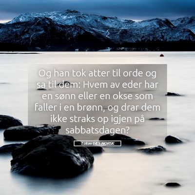 Picture 05 - Lukas 14:5 NORSK - Og han tok atter til orde og sa til dem: Hvem av - Bible Verse Picture