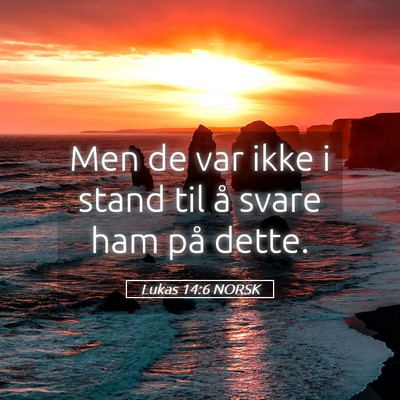 Picture 05 - Lukas 14:6 NORSK - Men de var ikke i stand til å svare ham på - Bible Verse Picture