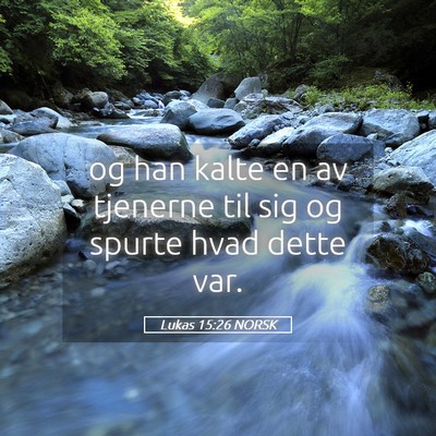 Picture 05 - Lukas 15:26 NORSK - og han kalte en av tjenerne til sig og spurte - Bible Verse Picture