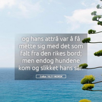 Picture 05 - Lukas 16:21 NORSK - og hans attrå var å få mette sig med det som - Bible Verse Picture
