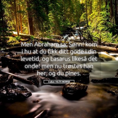 Picture 05 - Lukas 16:25 NORSK - Men Abraham sa: Sønn! kom i hu at du fikk ditt - Bible Verse Picture