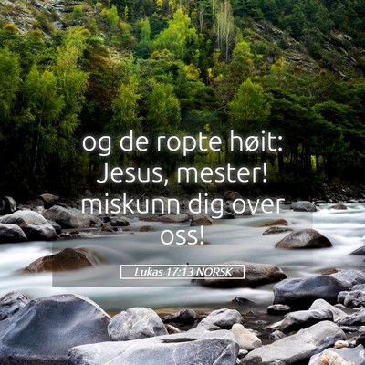 Picture 05 - Lukas 17:13 NORSK - og de ropte høit: Jesus, mester! miskunn dig - Bible Verse Picture