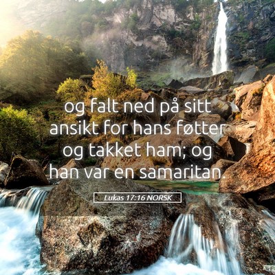 Picture 05 - Lukas 17:16 NORSK - og falt ned på sitt ansikt for hans føtter og - Bible Verse Picture