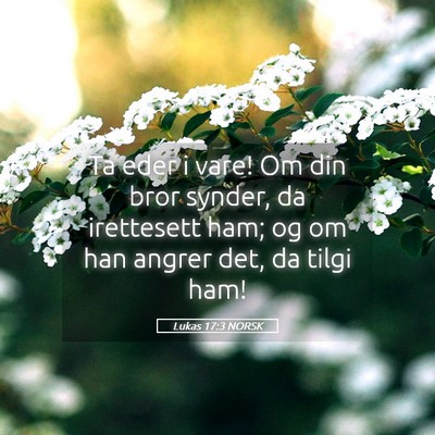 Picture 05 - Lukas 17:3 NORSK - Ta eder i vare! Om din bror synder, da irettesett - Bible Verse Picture
