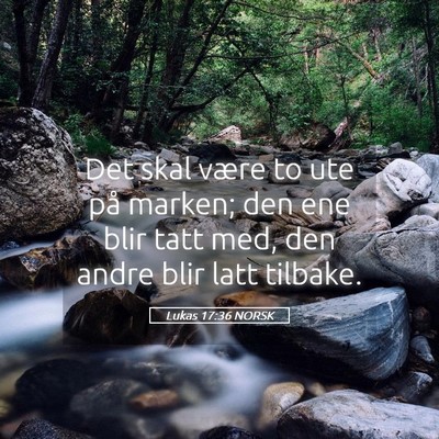 Picture 05 - Lukas 17:36 NORSK - Det skal være to ute på marken; den ene blir - Bible Verse Picture