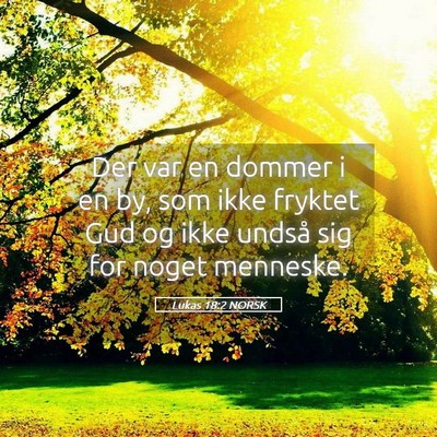 Picture 05 - Lukas 18:2 NORSK - Der var en dommer i en by, som ikke fryktet Gud - Bible Verse Picture