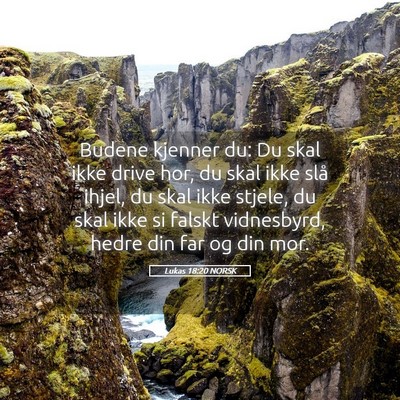 Picture 05 - Lukas 18:20 NORSK - Budene kjenner du: Du skal ikke drive hor, du - Bible Verse Picture