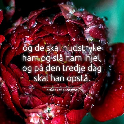 Picture 05 - Lukas 18:33 NORSK - og de skal hudstryke ham og slå ham ihjel, og - Bible Verse Picture
