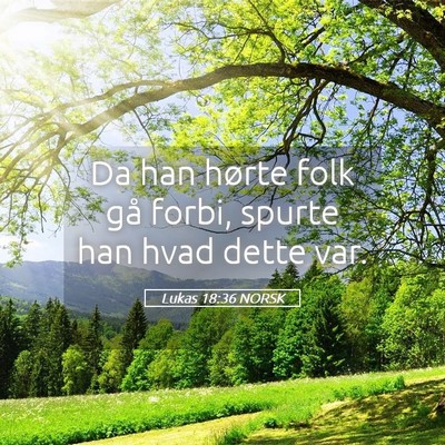 Picture 05 - Lukas 18:36 NORSK - Da han hørte folk gå forbi, spurte han hvad - Bible Verse Picture