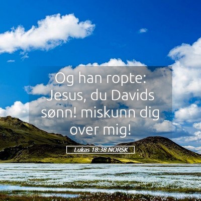 Picture 05 - Lukas 18:38 NORSK - Og han ropte: Jesus, du Davids sønn! miskunn dig - Bible Verse Picture