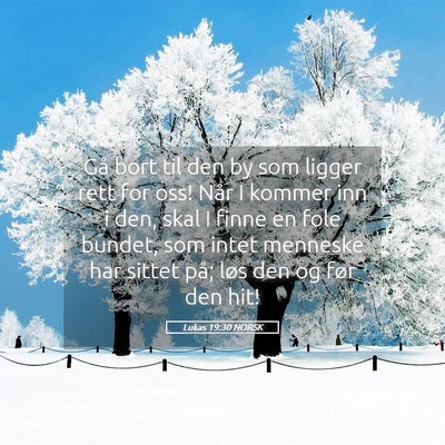 Picture 05 - Lukas 19:30 NORSK - Gå bort til den by som ligger rett for oss! Når - Bible Verse Picture