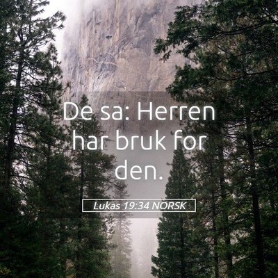 Picture 05 - Lukas 19:34 NORSK - De sa: Herren har bruk for - Bible Verse Picture