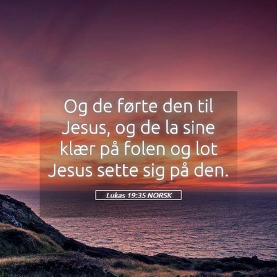 Picture 05 - Lukas 19:35 NORSK - Og de førte den til Jesus, og de la sine klær - Bible Verse Picture