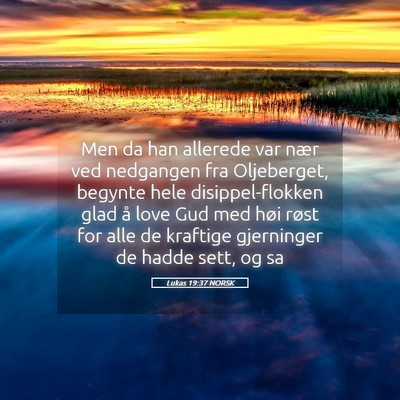 Picture 05 - Lukas 19:37 NORSK - Men da han allerede var nær ved nedgangen fra - Bible Verse Picture