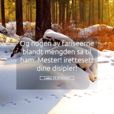 Picture 05 - Lukas 19:39 NORSK - Og nogen av fariseerne blandt mengden sa til ham: - Bible Verse Picture