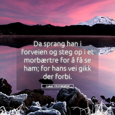 Picture 05 - Lukas 19:4 NORSK - Da sprang han i forveien og steg op i et - Bible Verse Picture